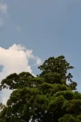 玉若酢命神社(島根県)
