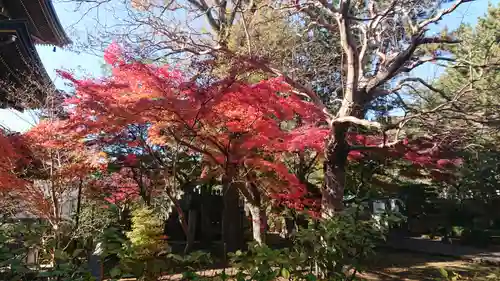 三寳寺の景色