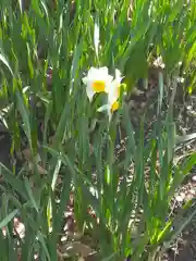 阿智神社の自然