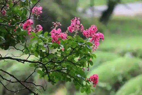 鹿島大神宮の庭園