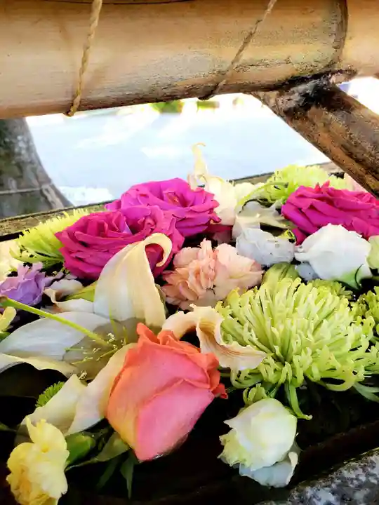 鳩森八幡神社の手水舎