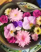 札幌護國神社の手水舎