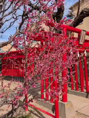白山神社(東京都)