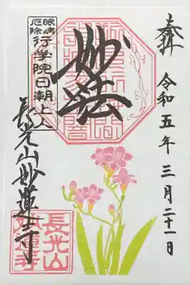 フリージア