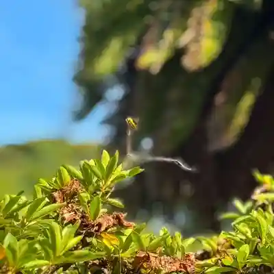 伊勢の国 四天王寺(三重県)