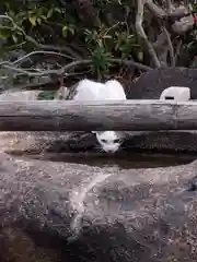 荘厳浄土寺の手水