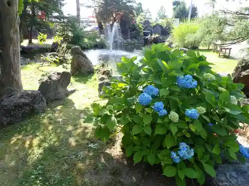 北海道護國神社の庭園