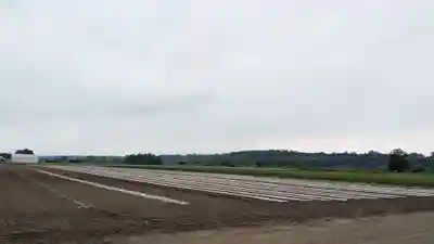 人舞神社の景色