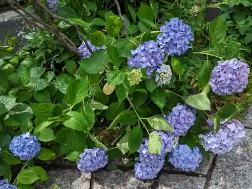 徳林禅菴（徳林庵）(京都府)
