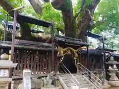 三島神社の山門