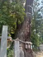 大國魂神社(福島県)