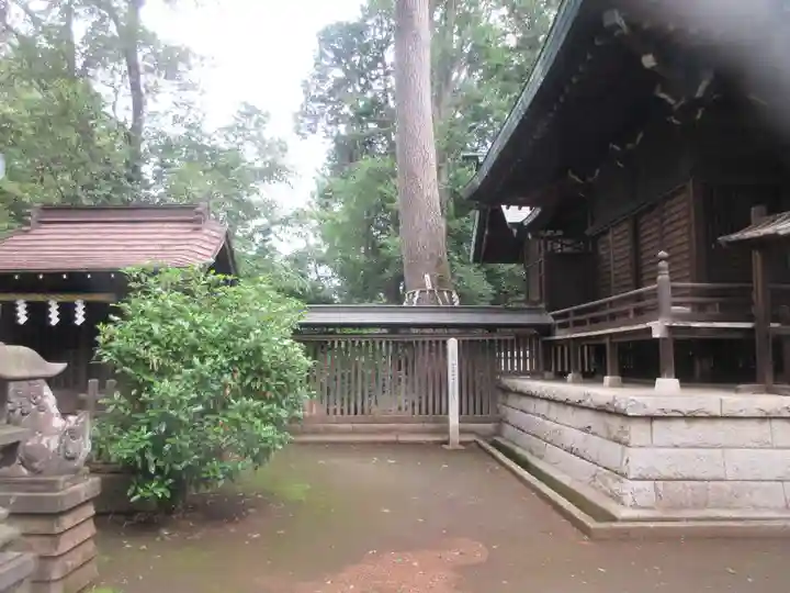 熊野神社(東京都)