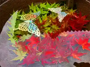 真言宗 善通寺派 薬王寺の手水舎(2022年11月23日(水) 11時38分20秒投稿)