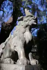 青山熊野神社の狛犬