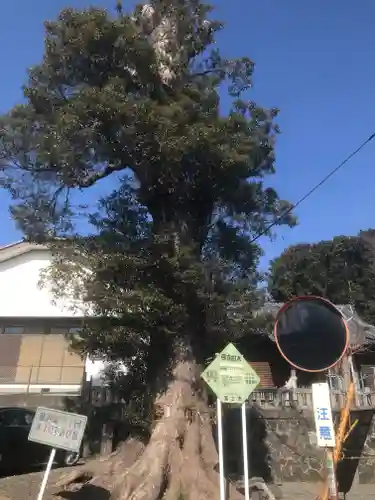 愛鷹神社（今泉）(静岡県)