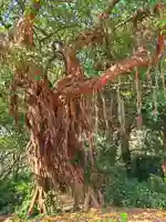 住吉神社(長崎県)
