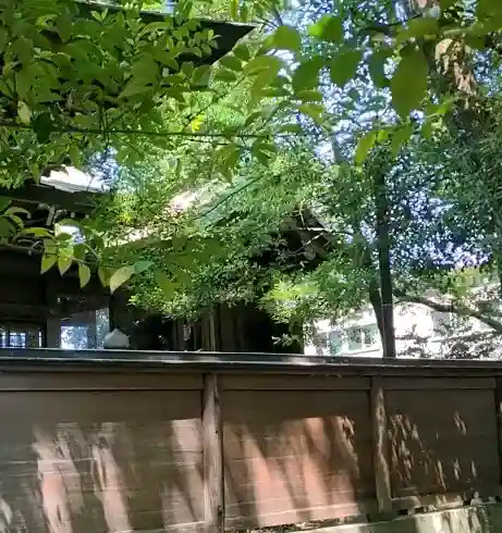 清洲山王宮 日吉神社の{uncategorized: "未分類", other: "その他", undefined: "問題あり", building: "その他建物", grave: "お墓", sacred_gate: "鳥居", guardian: "狛犬", statue: "像", buddha: "仏像", history: "歴史", nature: "自然", garden: "庭園", animal: "動物", pagoda: "塔", temizu: "手水舎", mountain_gate: "山門・神門", sanctuary: "本殿・本堂", subordinate: "末社・摂社", art: "芸術", scenery: "景色", jizo: "地蔵", ema: "絵馬", goshuin: "御朱印", omikuji: "おみくじ", items: "授与品その他", amulet: "お守り", goshuincho: "御朱印帳", eats: "食事", festival: "お祭り", votive_dance: "神楽", shichigosan: "七五三参", wedding: "結婚式", experience: "体験その他", initially: "初詣", around: "周辺", anti_infection: "感染症対策"}