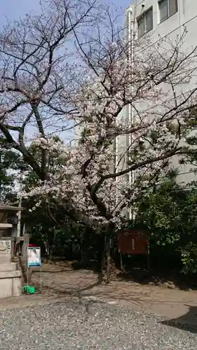 猿江神社の庭園