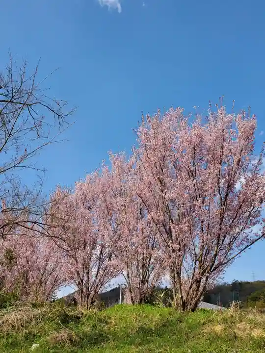 普門院(文知摺観音)(福島県)