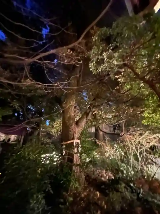 東京大神宮(東京都)