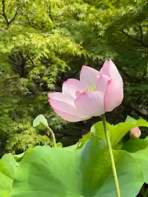 伊勢の国 四天王寺(三重県)