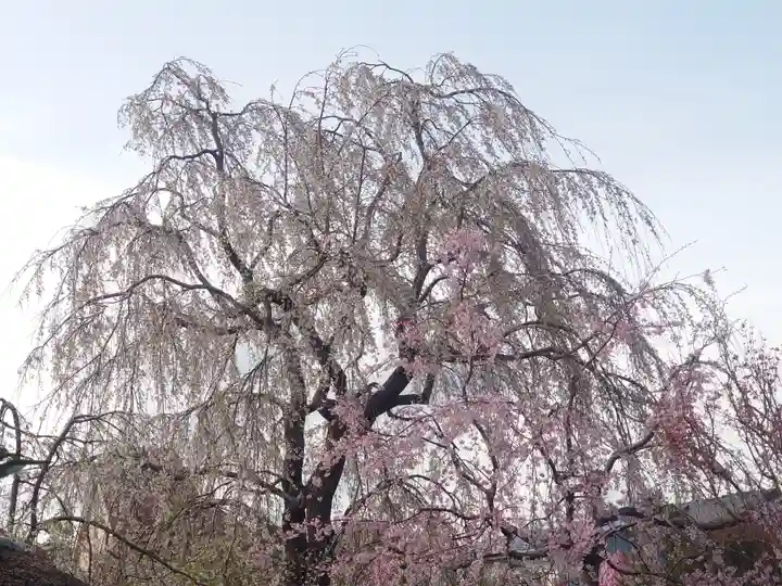 常泉寺(神奈川県)