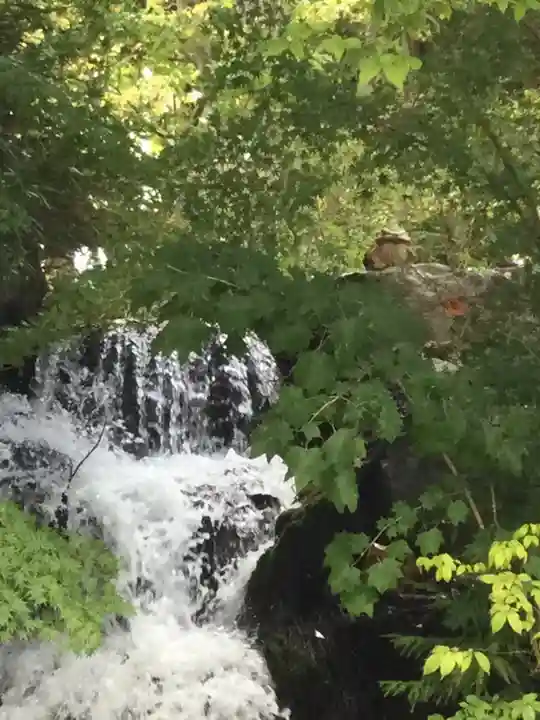富士山東口本宮 冨士浅間神社の自然