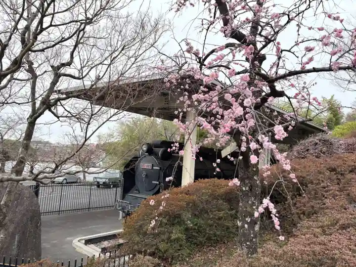 真龍寺(大阪府)