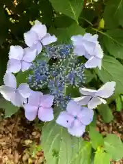 伊豆山神社の自然