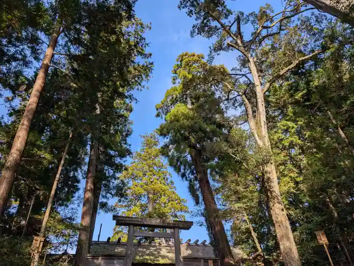 伊勢神宮内宮(皇大神宮)(三重県)