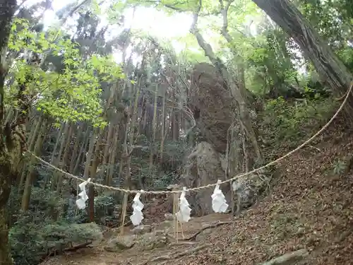 本宮神社（西寒多神社奥宮）の自然