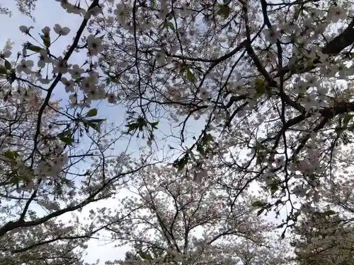 塩土恵美須神社(福井県)