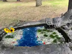 帯廣神社の手水