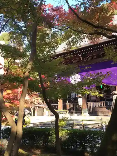 禅林寺（永観堂）の本殿・本堂