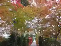 尾曳稲荷神社の自然