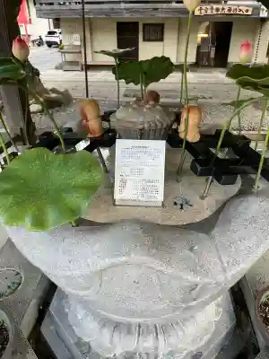 金剛宝寺（紀三井寺）(和歌山県)