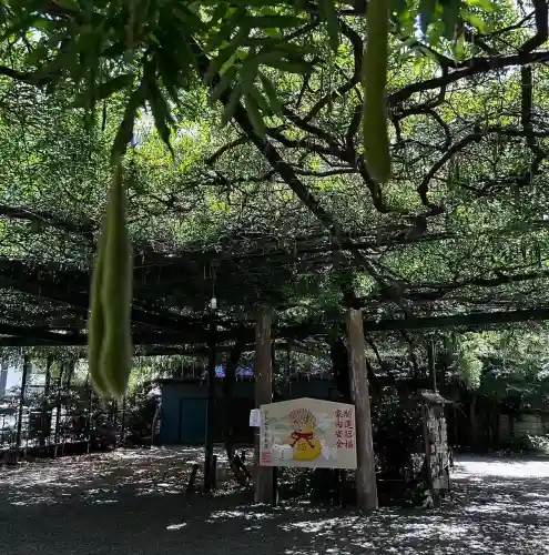 國領神社(東京都)
