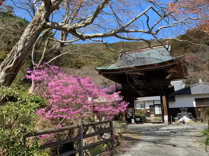 普門寺(切り絵御朱印発祥の寺)の山門・神門