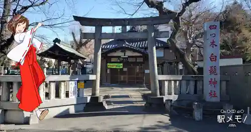 白髭神社の鳥居