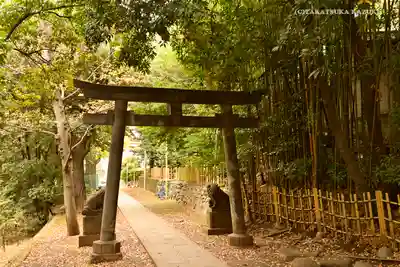 渋谷氷川神社の鳥居