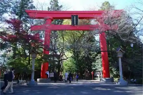 冠稲荷神社の鳥居