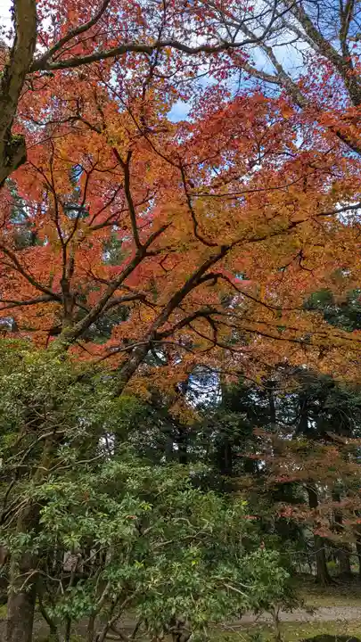 醍醐寺(京都府)
