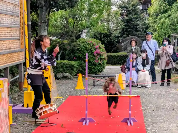 亀戸天神社の{uncategorized: "未分類", other: "その他", undefined: "問題あり", building: "その他建物", grave: "お墓", sacred_gate: "鳥居", guardian: "狛犬", statue: "像", buddha: "仏像", history: "歴史", nature: "自然", garden: "庭園", animal: "動物", pagoda: "塔", temizu: "手水舎", mountain_gate: "山門・神門", sanctuary: "本殿・本堂", subordinate: "末社・摂社", art: "芸術", scenery: "景色", jizo: "地蔵", ema: "絵馬", goshuin: "御朱印", omikuji: "おみくじ", items: "授与品その他", amulet: "お守り", goshuincho: "御朱印帳", eats: "食事", festival: "お祭り", votive_dance: "神楽", shichigosan: "七五三参", wedding: "結婚式", experience: "体験その他", initially: "初詣", around: "周辺", anti_infection: "感染症対策"}