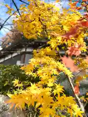 冨士山稲荷神社(長野県)