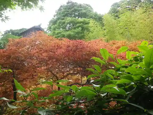 光則寺の庭園