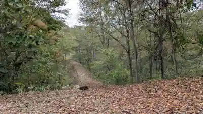 大國神社の景色