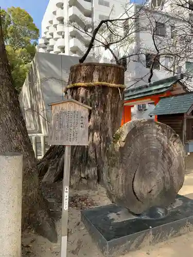 生田神社の自然