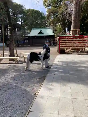 平塚八幡宮(神奈川県)
