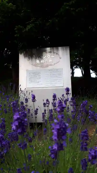 札幌南沢神社の周辺