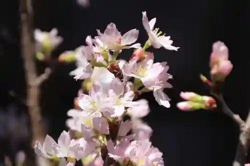 阿邪訶根神社の自然